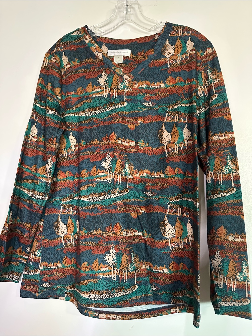 Christoper Banks Tea Collection Long-Sleeve Scenic Print Top in Teal Multi